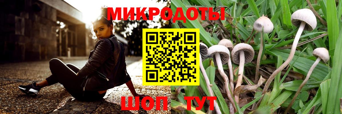 Псилоцибиновые грибы прущие грибы  Псилоцибиновые грибы GOLDEN TEACHER  Вход с VPN  Будённовск 